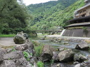 �Ԃ���񂳂�̈���̓��e�ʐ^1