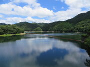 �Ԃ���񂳂�̓����΂̓��e�ʐ^1