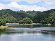 �Ԃ���񂳂�̓����΂̓��e�ʐ^2