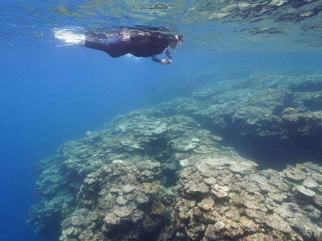 ���ł�݂���_Lilo Miyakojima