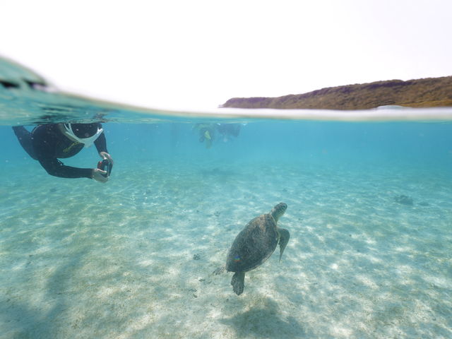 �ʐ^��������I_Lilo Miyakojima