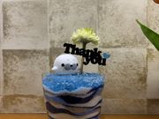 �}�C�l���V�����C����̃J���[�T���h�A�[�g twinkle�̓��e�ʐ^1