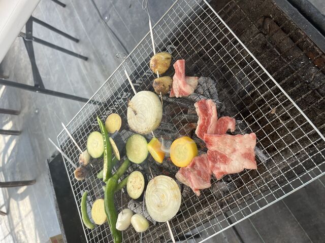 �Ă��Ă���l�q_�A�}���Y�K�[�f�����cBBQ��