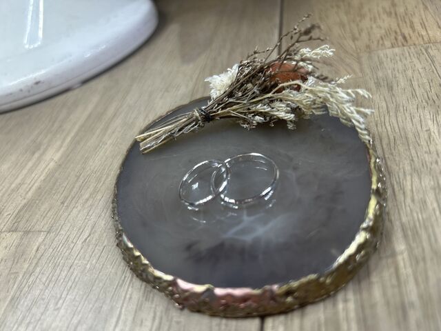 ���������܂����I_�A�J�l�X�S�֋�