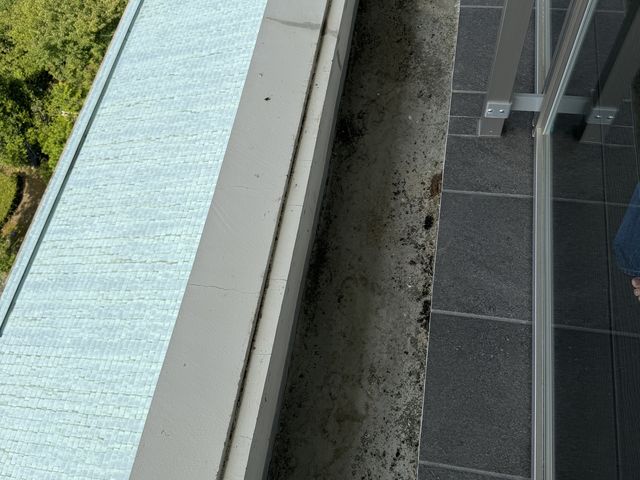 �P���P������̗��� �C�̒��̓��e�ʐ^4