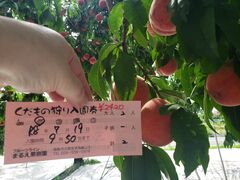 �܂邦�ό��ʎ����̎ʐ^1