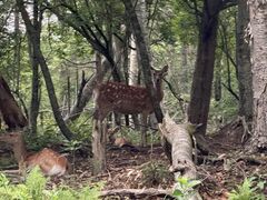 �Ă�����freetrekkers!�̎ʐ^2
