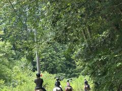 TANIMOTO HORSE RANCH�̎ʐ^1