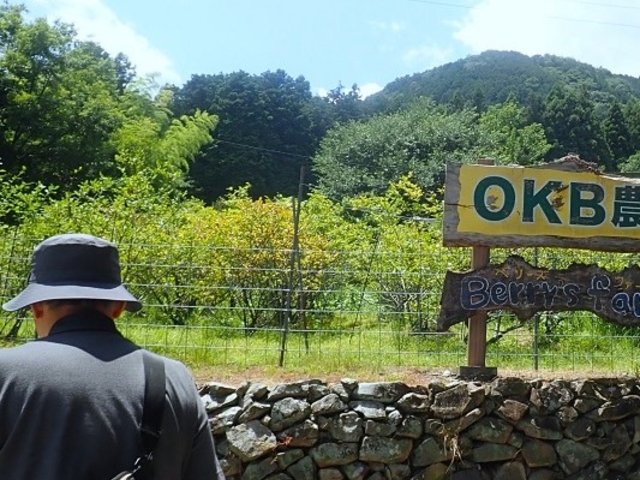 �L���_���ł��B����݂������R�ɂ߂�͈͂�H�ו����B_OKB�_�� Berry's farm �r�c