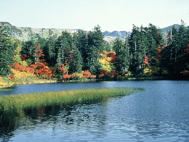 ��ፂ�����Q