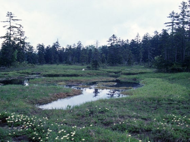 ����_��������