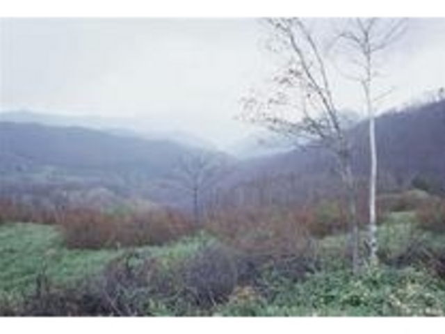 ���덂��_���덂���i��茧�v���s�j