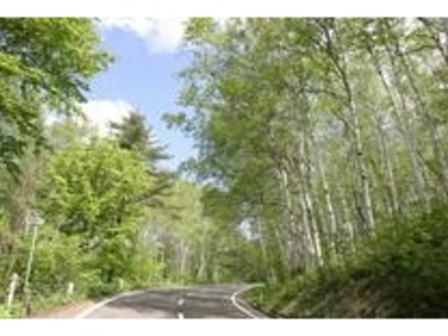 ������_���덂���i��茧�v���s�j