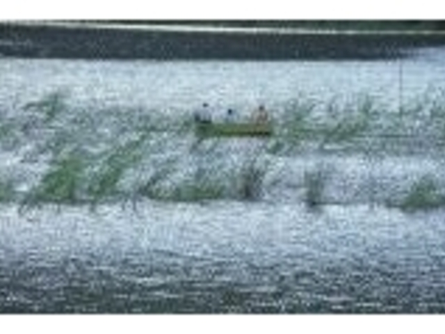 �x�m���̎ʐ^1