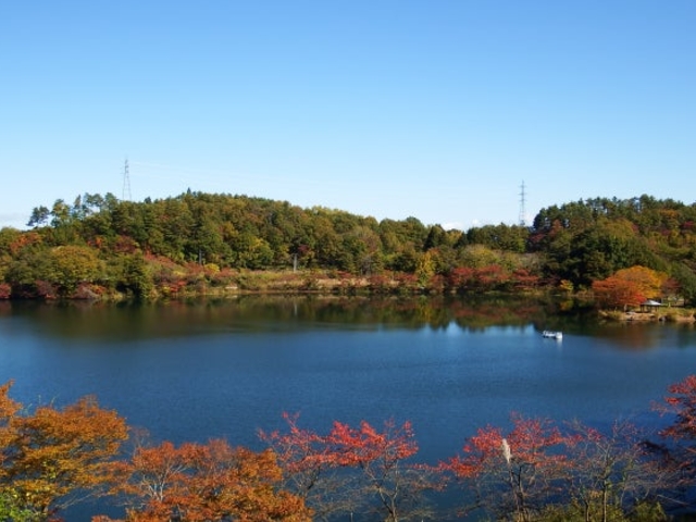 �ʒ����̎ʐ^1