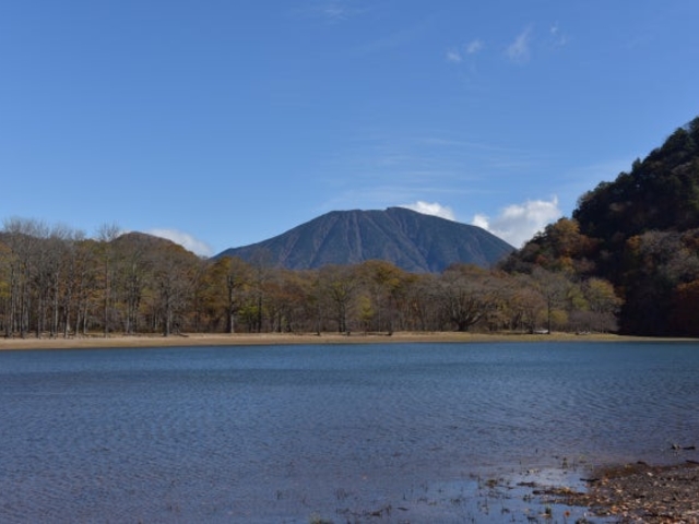 ���m��_���m��