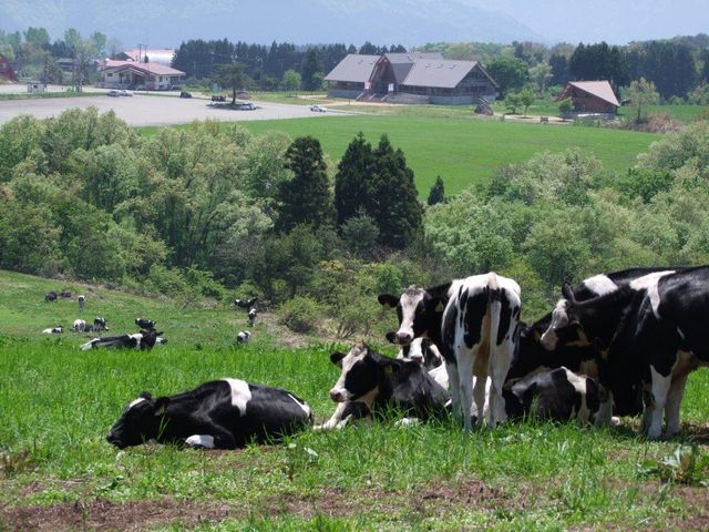 �Z�C�t����