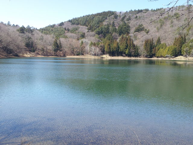 �l���A��_�l���A��