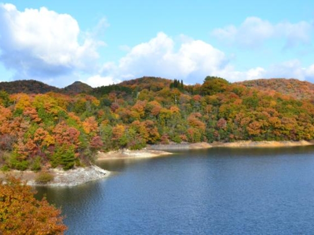 ������_������