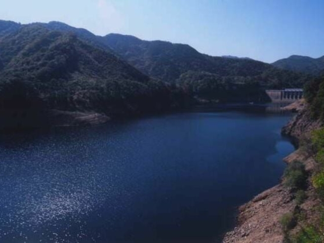 �_�V���΂̎ʐ^1