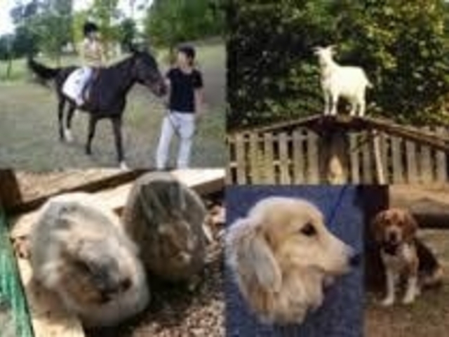 �G�R�E�p�[�N�_����