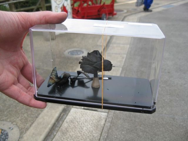 �G�R�E�p�[�N�_����