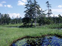 �����̎ʐ^1