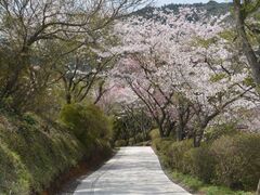 �o���̋u�̎ʐ^1