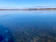 ���ԕc���i�I�C�J�}�i�C�g�[�j�̎ʐ^1