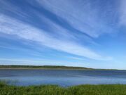 ���ԕc���i�I�C�J�}�i�C�g�[�j�̎ʐ^2