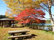 �ʒ����̎ʐ^2