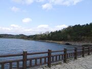 ���q���̎ʐ^2