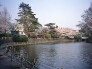 �x�m���r�̎ʐ^1