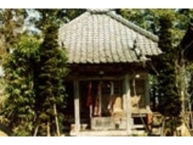 �������̎ʐ^1