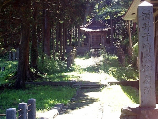 �S�����̎ʐ^1