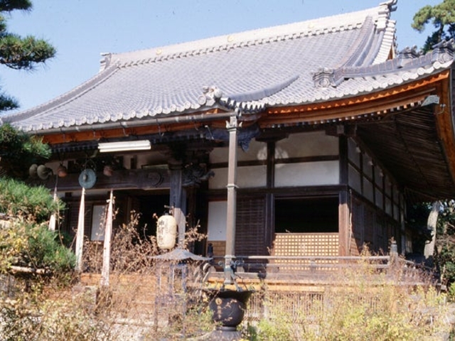 �_�Ǝ��̎ʐ^1