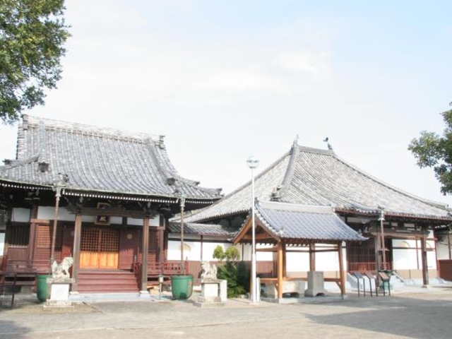 �{�����̎ʐ^1