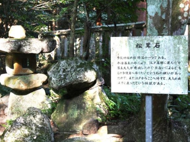 ����_�Ђ̎ʐ^1