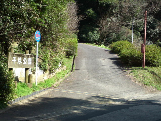 �T�R�����{