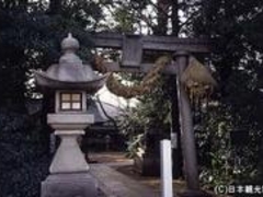 ����_�Ђ̎ʐ^1