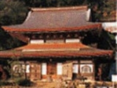 �V�J���̎ʐ^1