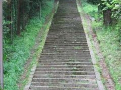 �x�c�����{�̎ʐ^1