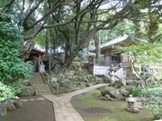 �������̎ʐ^1