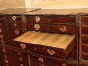 �L���@�i�ʎ᎛�j�̎ʐ^3