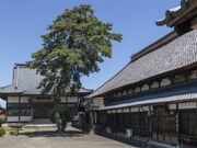 �啽�R�@���򎛂̎ʐ^1