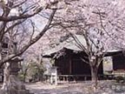 ���Ǝ��̎ʐ^1