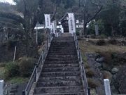 �아�R��z���̎ʐ^2