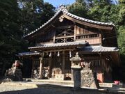 ���c�_�Ђ̎ʐ^1