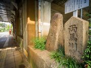 ���x�˂Ɨ��n�싌�ՁA�r�ː_�Ђ̎ʐ^3