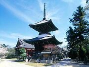 ���R���i�O�@����j�̎ʐ^1